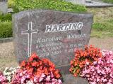 image of grave number 458478